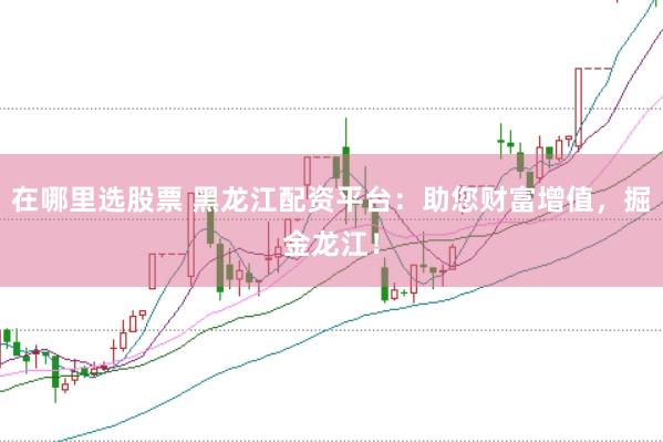 在哪里选股票 黑龙江配资平台：助您财富增值，掘金龙江！