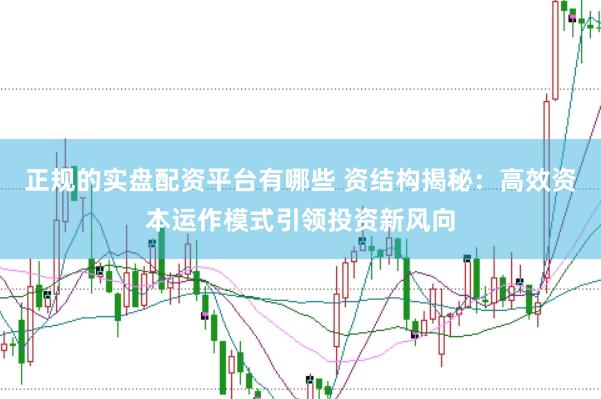 正规的实盘配资平台有哪些 资结构揭秘：高效资本运作模式引领投资新风向