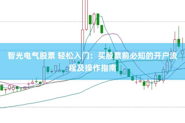 智光电气股票 轻松入门：买股票前必知的开户流程及操作指南