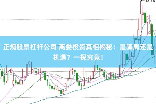 正规股票杠杆公司 离娄投资真相揭秘：是骗局还是机遇？一探究竟！