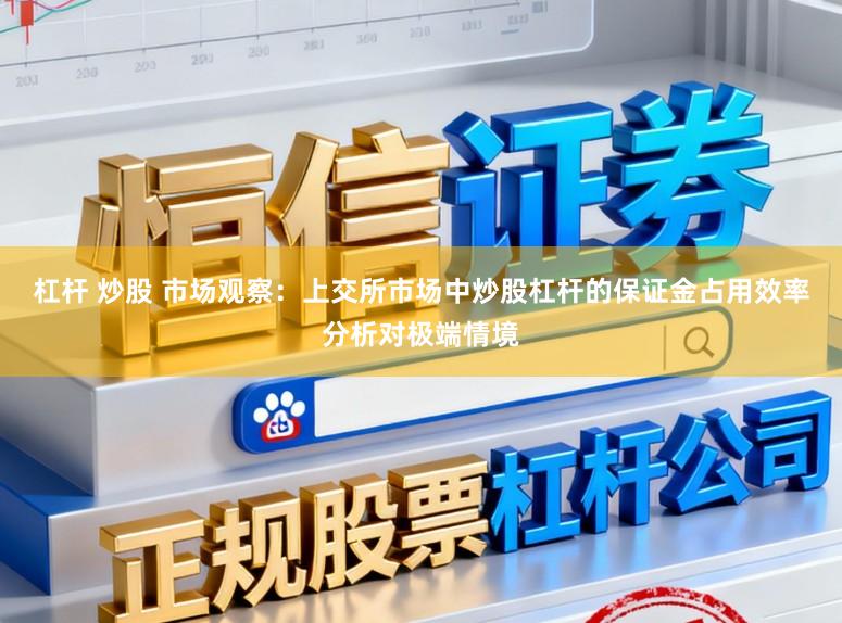 杠杆 炒股 市场观察：上交所市场中炒股杠杆的保证金占用效率分析对极端情境